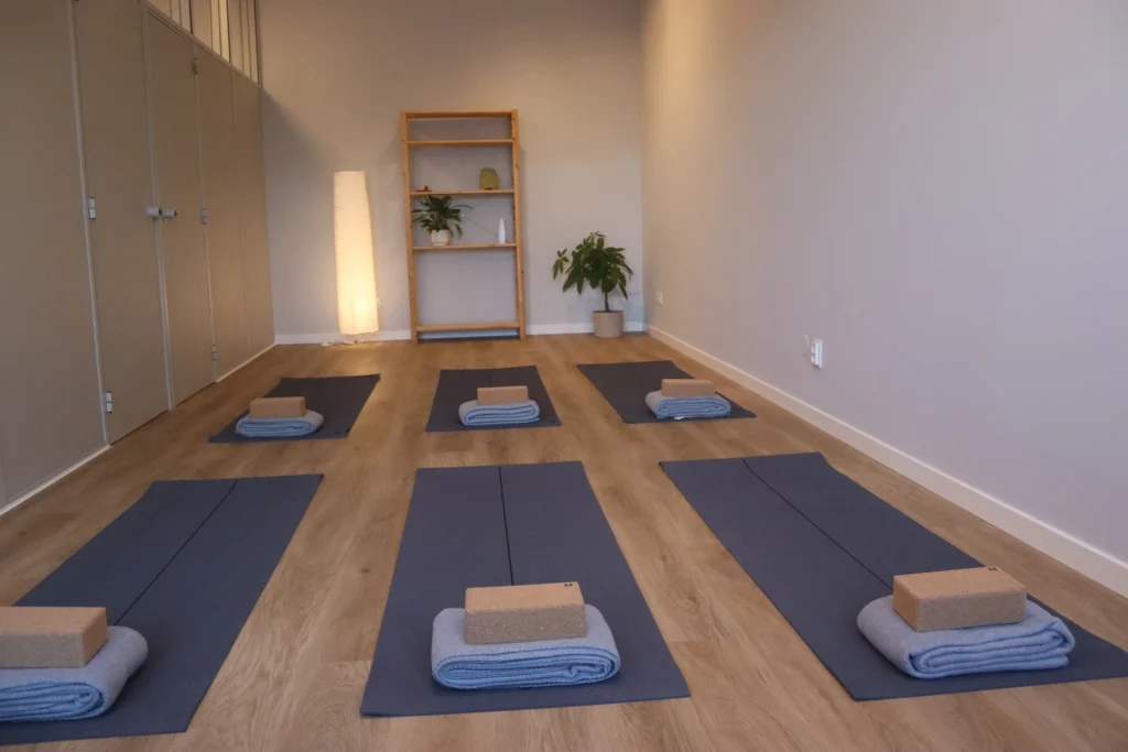 zhi studio na maia, sala de yoga, sala de pilates