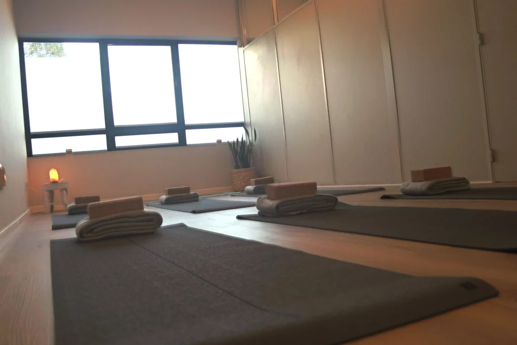 zhi studio na maia, sala de yoga, sala de pilates
